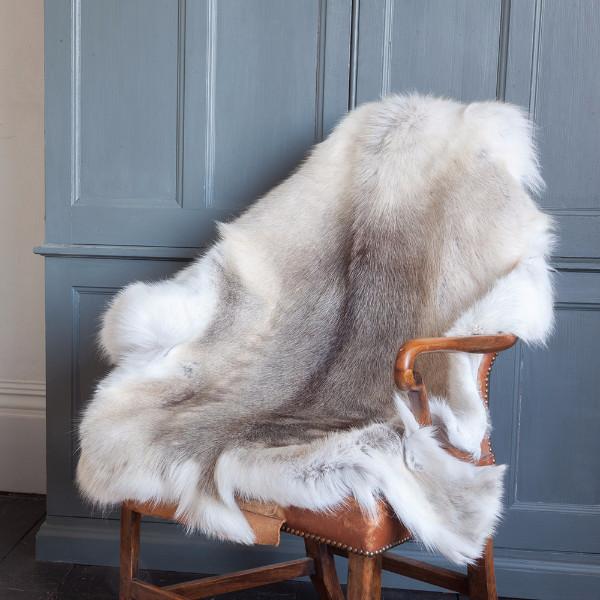 <a href="https://maps.google.com/maps/contrib/100362399048263379768">THE COW PELT</a>