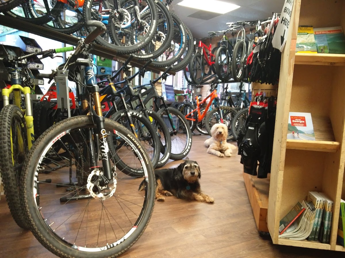 <a href="https://maps.google.com/maps/contrib/110037062062429930846">Todd Steif</a>