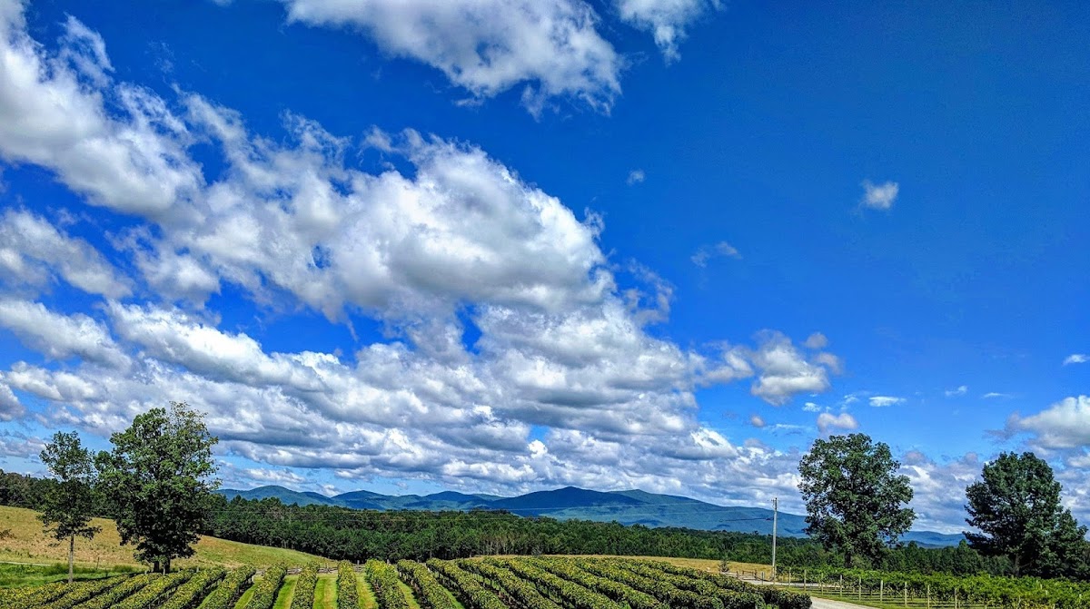 Chateau Meichtry Family Vineyard and Winery