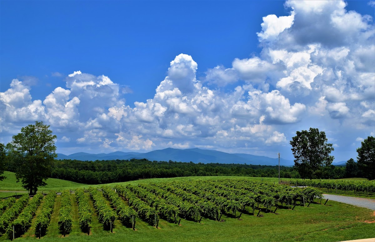 Chateau Meichtry Family Vineyard and Winery