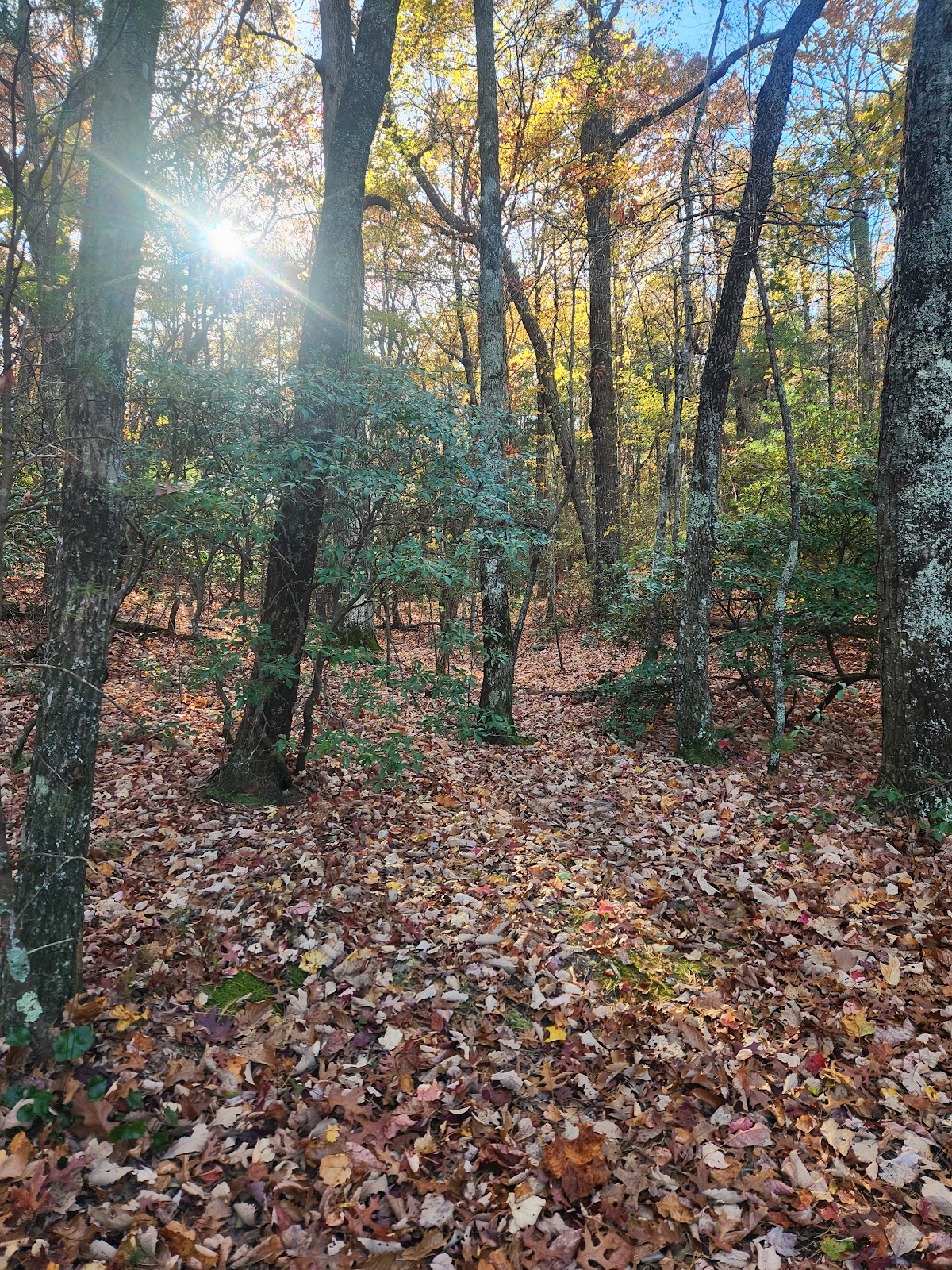 Fort Mountain Lake Trail